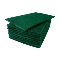 Large Green Scourer Pads (Pack x10) 23cm x 15cm