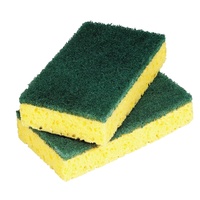 Large Foam Backed Scourer Pads (Pack x10)